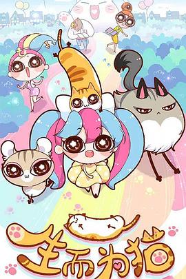 什么叫网站优化公司